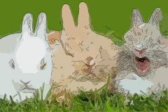 属兔四月出生的命好吗,农历四月出生的属兔人好不好