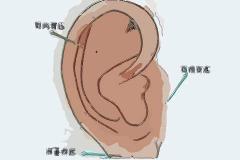 耳朵上长痣代表什么,耳朵痣相分析