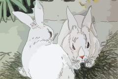 四月的兔命运如何,出生这个月份的属兔人好吗