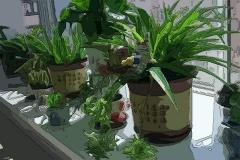 卧室放什么植物最好,能够提升卧室风水的植物