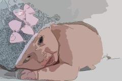 猪年出生的女宝宝起名字,给猪女宝宝起名的方法