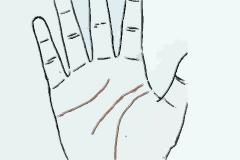爪字掌的手相分析,拥有爪字掌的人如何
