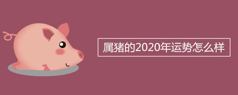属猪的2020年运势怎么样