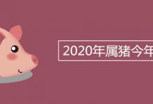 2020年属猪今年多少岁