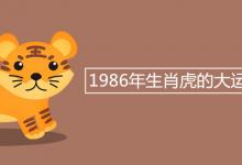 1986年生肖虎的大运年是哪年