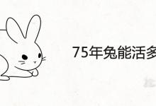 75年兔能活多久 46岁运气怎么样