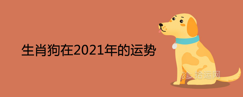 生肖狗在2021年的运势以及注意月份