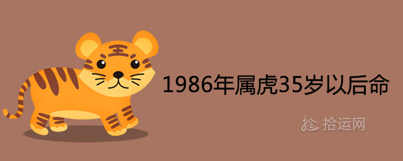 1986年属虎35岁以后命运好不好