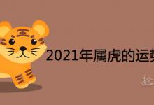 2021年属虎的运势和财运详解