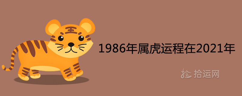 1986年属虎运程在2021年是吉是凶