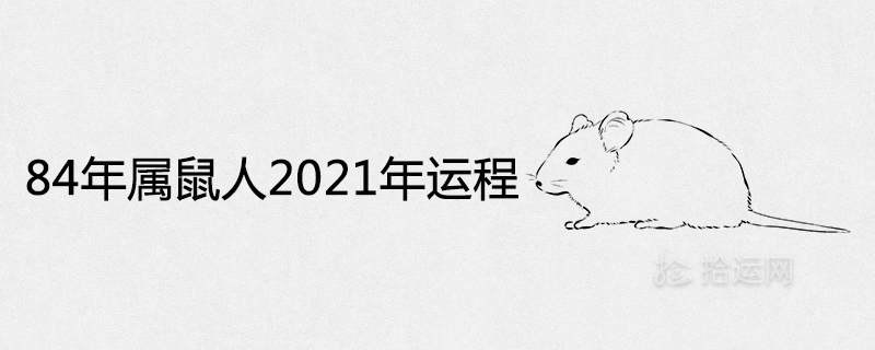 84年属鼠的人2021年运程很不好吗