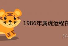 1986年属虎运程在2021年是吉是凶