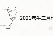 2021老牛二月什么命
