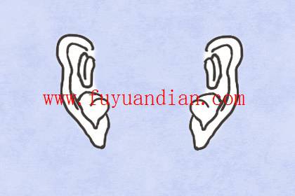 有福气的耳朵特征 耳高垂珠厚是什么意思？