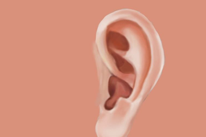 揭秘成功人士耳朵部位的特征是什么意思？