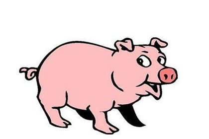 属猪的今日打麻将怎么样 分析属猪今日财运是什么意思？