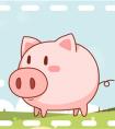 生肖属猪2021年下半年运势 八方来财财运旺盛