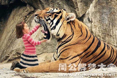 梦见老虎不咬人是什么意思？