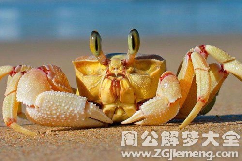 梦见螃蟹出现是什么意思？