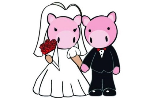 95年属猪一生有几次婚姻
