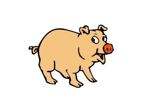 2019年属猪的是什么命，19年出生的猪五行属什么