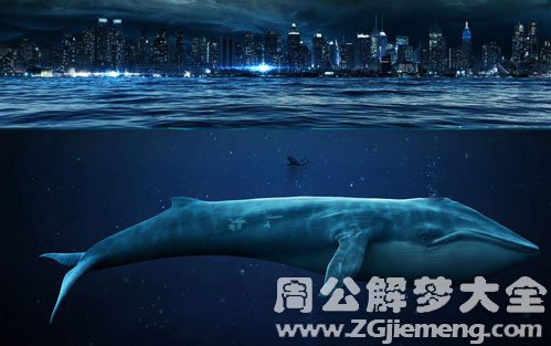 梦见大海和鲸鱼是什么意思？