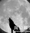 梦见狗吃月亮