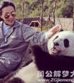 梦见和熊猫玩耍