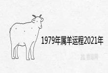 1979年属羊运程2021年分析