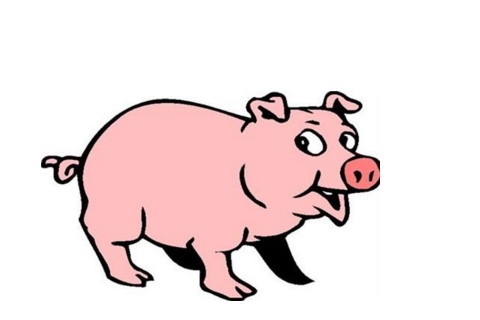 1995年属猪人今年多大2021年 1995年属猪2021年运势