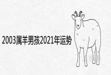2003属羊男孩2021年运势及运程分析