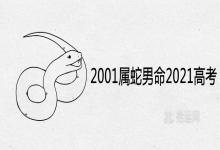 2001年属蛇男命2021高考运势和学业运程分析