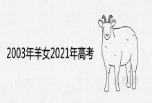 2003年羊女2021年高考运势及学业运程