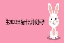生2023年兔什么时候怀孕 备孕清宫表查询