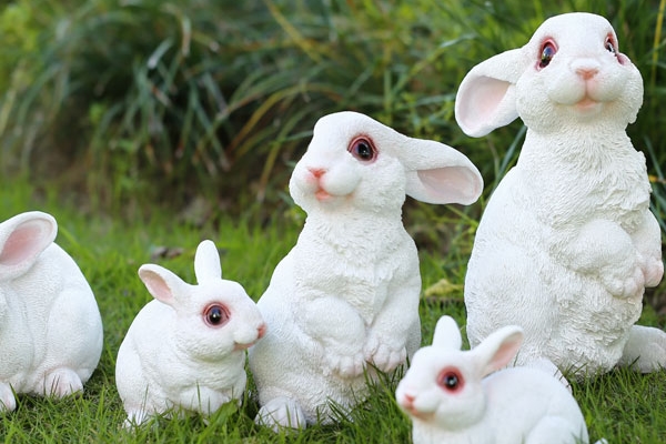属兔的性格特点 自信而柔情的生肖兔