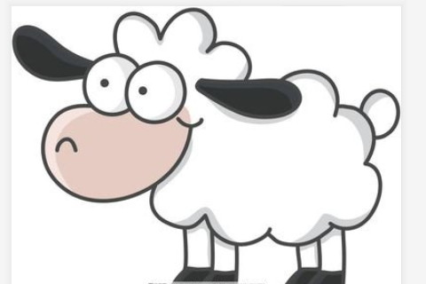生肖羊几月出生最好 十一月的羊最有财吗