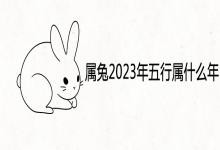属兔2023年五行属什么年