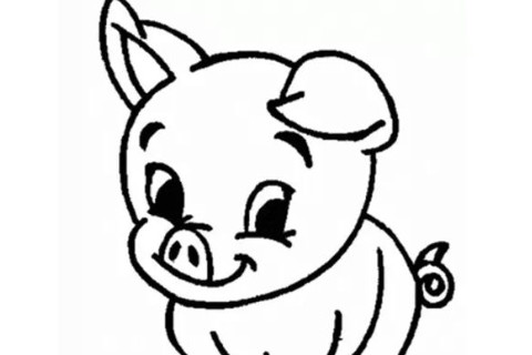 2007年属猪人2022年运势及运程 07年出生15岁生肖猪2022年全年每月运程