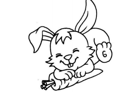 1999年属兔人2022年运势及运程 99年出生23岁生肖兔2022年全年每月运程