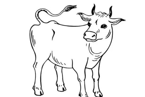 1973年属牛人2022年运势及运程 73年出生49岁生肖牛2022年全年每月运程