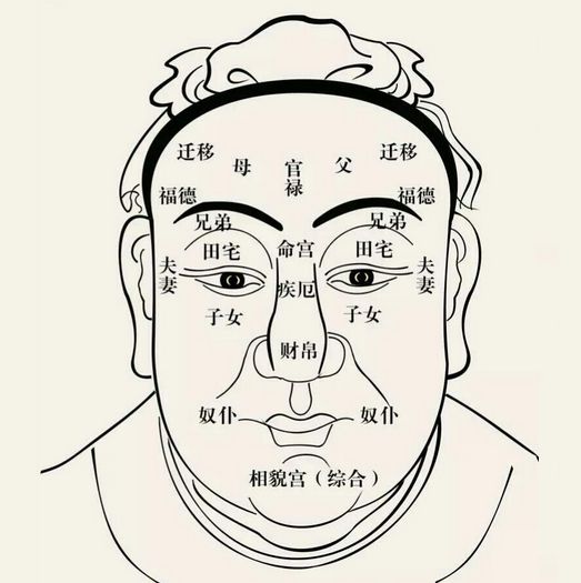 左右脸不对称的面相_面相脑后见脸_脸左右不对称的面相