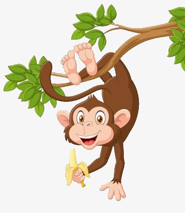 梦见会说话的猴子_吊在树上的猴子简笔画_梦见猴子上树